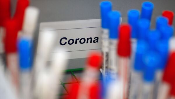 Лаборатория по исследованию коронавируса  - 俄罗斯卫星通讯社