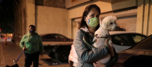 Люди гуляют со своими питомцами во время карантина из-за коронавируса - 俄罗斯卫星通讯社