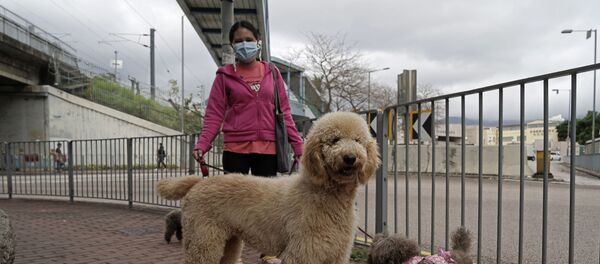 Женщина гуляет со своими питомцами в Гонконге - 俄罗斯卫星通讯社