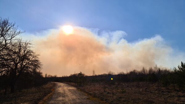 Лесной пожар в Чернобыльской зоне - 俄罗斯卫星通讯社