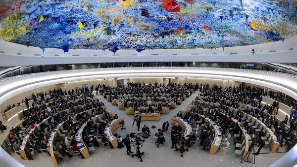 Заседание совета ООН по правам человека в Женеве - 俄罗斯卫星通讯社