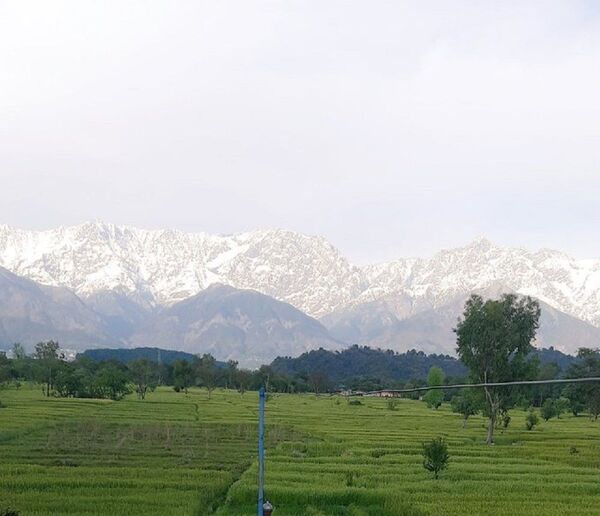 印度居民30年来首次能看到喜马拉雅山脉 - 俄罗斯卫星通讯社