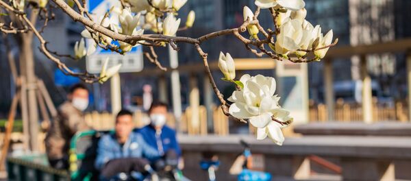 Пекин Пекин - 俄罗斯卫星通讯社