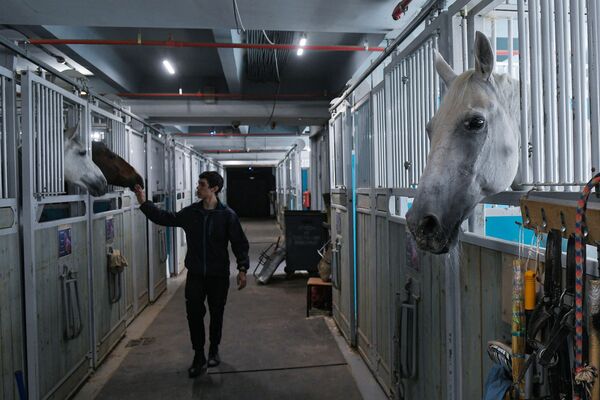 Сотрудник Большого Московского государственного цирка с лошадьми - 俄羅斯衛星通訊社