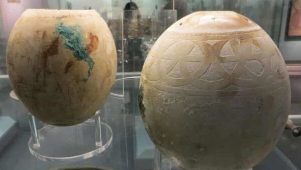 英国科学家猜想古代鸵鸟蛋有雕花纹路的原因 - 俄罗斯卫星通讯社