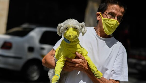 Мужчина и его собака в защитных масках в Каракасе, Венесуэла - 俄罗斯卫星通讯社
