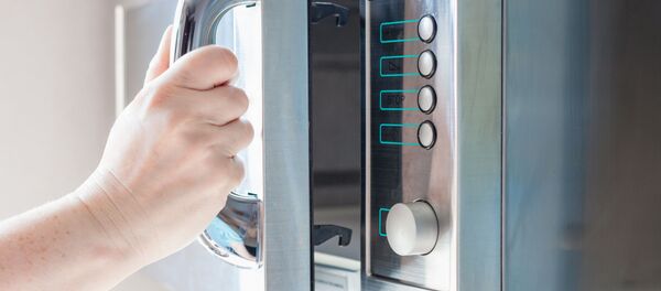 Микроволновая печь - 俄罗斯卫星通讯社