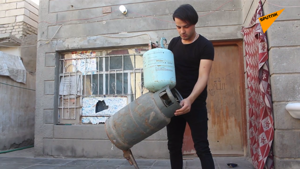 理想的平衡  - 俄羅斯衛星通訊社