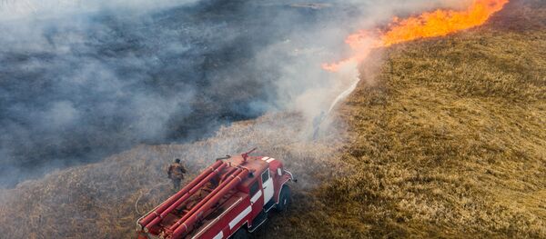 Пожарные в зоне отчуждения Чернобыльской АЭС  - 俄罗斯卫星通讯社