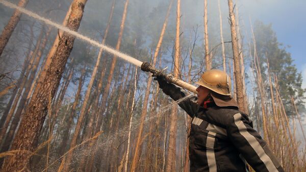 乌克兰切尔诺贝利禁区附近森林发生火灾 - 俄罗斯卫星通讯社