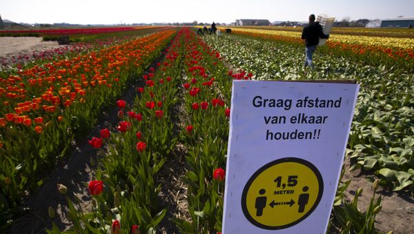 Знак, предупреждающий о необходимости соблюдать социальную дистанцию на поле с тюльпанами в Лиссе - 俄罗斯卫星通讯社