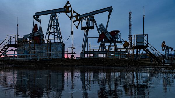 特朗普前顧問：美國無力填補伊朗石油斷供後的空白 - 俄羅斯衛星通訊社