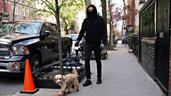 Мужчина в маске с собакой в Нью-Йорке  - 俄羅斯衛星通訊社