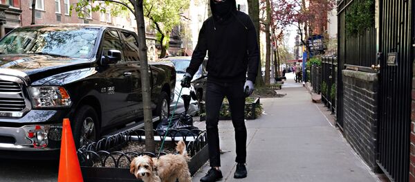 Мужчина в маске с собакой в Нью-Йорке Мужчина в маске с собакой в Нью-Йорке - 俄罗斯卫星通讯社