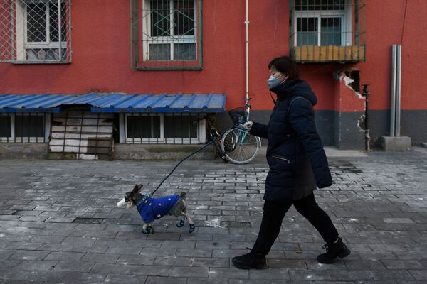 Девушка с собакой в маске в Пекине  - 俄罗斯卫星通讯社