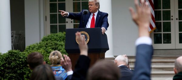 Президент США Дональд Трамп во время встречи в Белом доме, США - 俄罗斯卫星通讯社