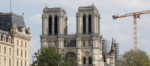 Собор Парижской Богоматери без шпиля - 俄羅斯衛星通訊社