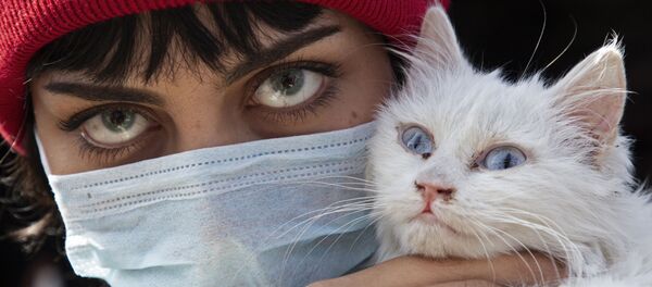 Иракская женщина с кошкой - 俄罗斯卫星通讯社