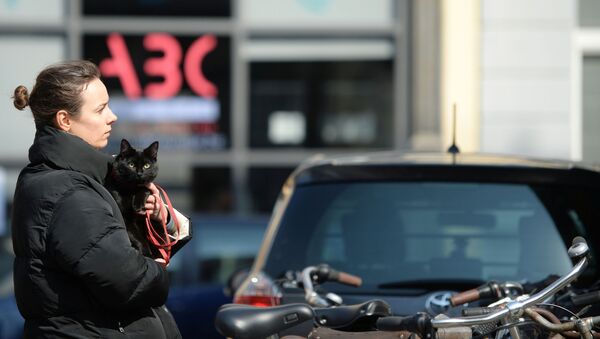 Девушка с кошкой на руках на одной из улиц Брюсселя, Бельгия - 俄罗斯卫星通讯社