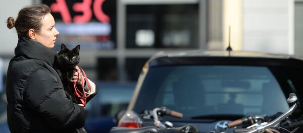 Девушка с кошкой на руках на одной из улиц Брюсселя, Бельгия - 俄羅斯衛星通訊社