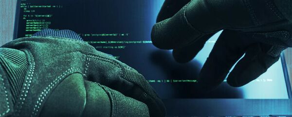 Хакер - 俄罗斯卫星通讯社