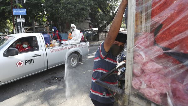  Члены индонезийского Красного Креста дезинфицируют улицы в Джакарте - 俄罗斯卫星通讯社