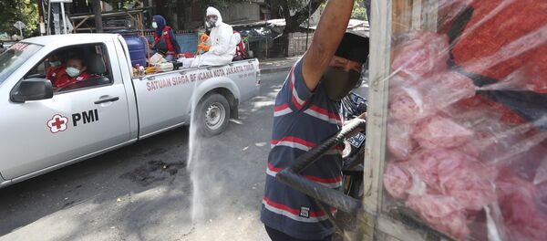  Члены индонезийского Красного Креста дезинфицируют улицы в Джакарте - 俄羅斯衛星通訊社