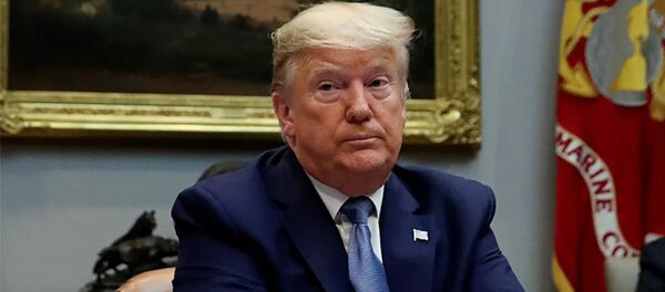 特朗普：美國一些州可以從4月17日就開始解除疫情限制措施 - 俄羅斯衛星通訊社