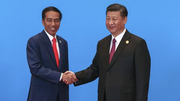 Председатель КНР Си Цзиньпин и Президент Индонезии Джоко Видодо - 俄罗斯卫星通讯社