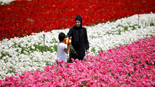 Мальчик с букетом на поле цветов в Израиле - 俄罗斯卫星通讯社