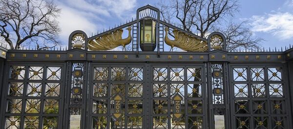 Берлинский зоопарк - 俄罗斯卫星通讯社