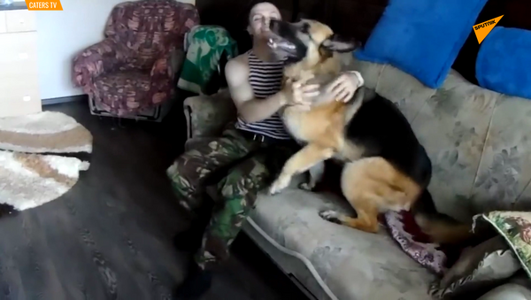 狗的欣喜若狂：牧羊犬迎接從軍隊回來的主人  - 俄羅斯衛星通訊社
