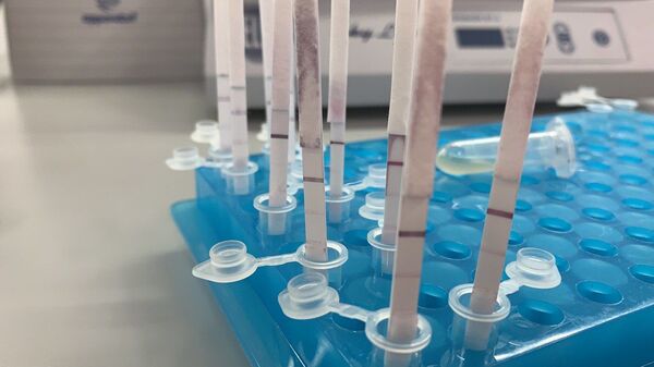 共同抗疫:斯科尔科沃初创企业向中国推介抗疫项目 共同抗疫:斯科尔科沃初创企业向中国推介抗疫项目 - 俄罗斯卫星通讯社