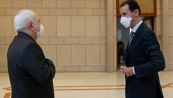 Министр иностранных дел Ирана Мохаммад Джавад Зариф  и президент Сирии Башар Асад  во время встречи в Дамаске  - 俄罗斯卫星通讯社