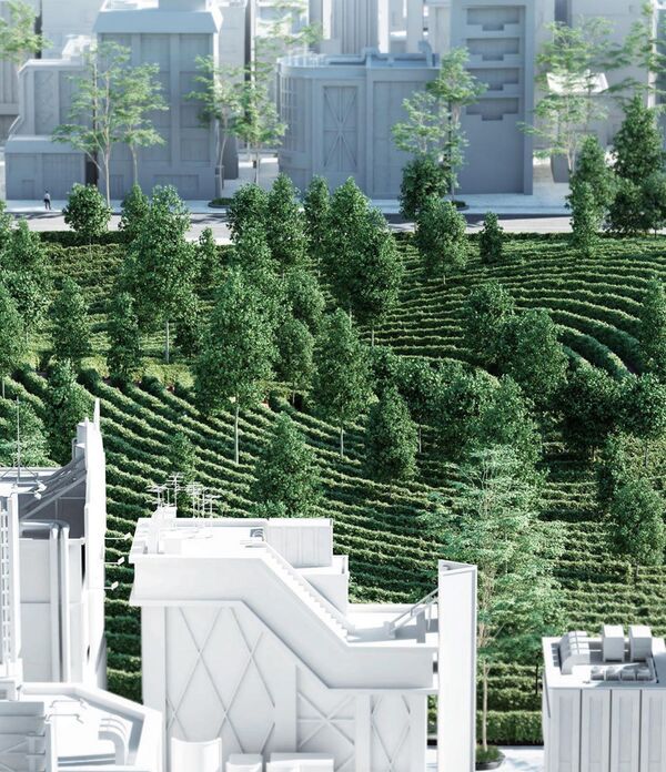 奥地利建筑师设计可保持社交距离的公园 （图片） - 俄罗斯卫星通讯社