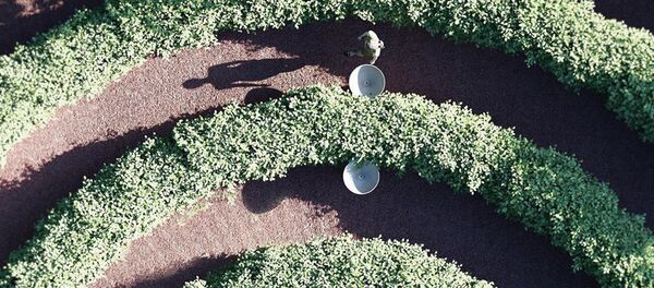 Парк Park de la Distance австрийской студии Precht - 俄羅斯衛星通訊社