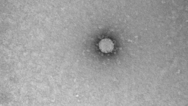 Фотоснимок коронавируса - 俄羅斯衛星通訊社