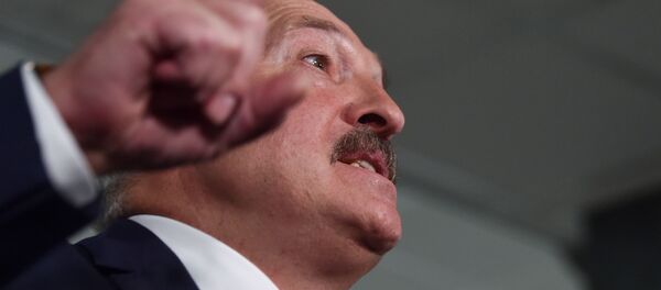 Президент Белоруссии Александр Лукашенко во время встречи с журналистами - 俄羅斯衛星通訊社