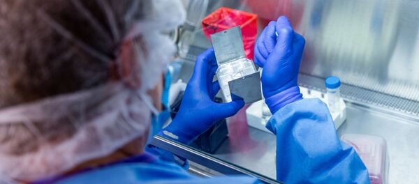 Исследователь из Университета Питтсбурга во время работы над вакциной против коронавируса, США - 俄罗斯卫星通讯社