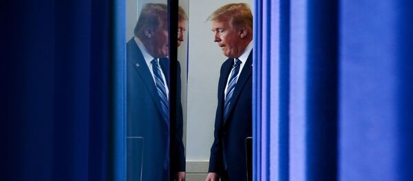 Президент США Дональд Трамп - 俄罗斯卫星通讯社