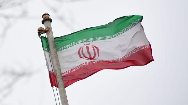 伊朗特工部門逮捕一名法國間諜 - 俄羅斯衛星通訊社