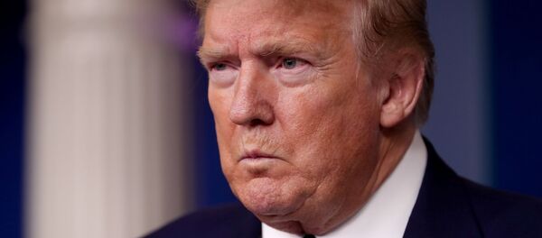 Президент США Дональд Трамп Президент США Дональд Трамп - 俄罗斯卫星通讯社