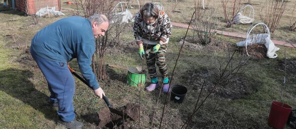 俄专家称新冠疫情有意想不到的积极影响 俄专家称新冠疫情有意想不到的积极影响 - 俄罗斯卫星通讯社