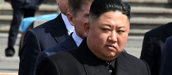 Председатель Госсовета Корейской Народно-Демократической Республики Ким Чен Ын - 俄罗斯卫星通讯社