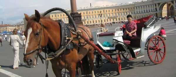 李阿姨在冬宫广场 - 俄罗斯卫星通讯社