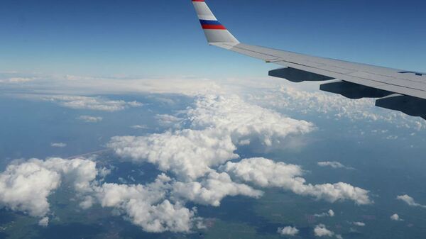 俄无人机在安-2飞机失踪地区搜索面积超过450平方公里 - 俄罗斯卫星通讯社