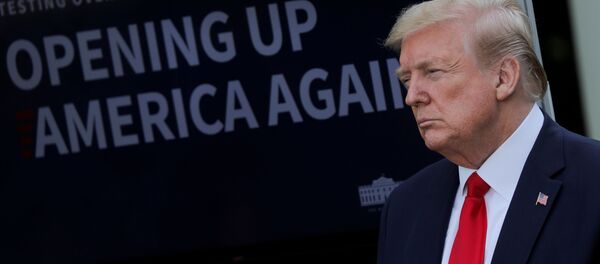 Президент США Дональд Трамп на брифинге  - 俄罗斯卫星通讯社