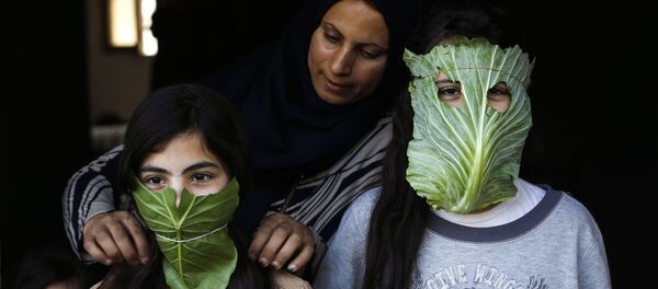 Палестинка надевает на свои детей маски из капусты - 俄羅斯衛星通訊社