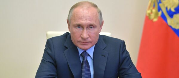 俄罗斯总统普京 - 俄罗斯卫星通讯社