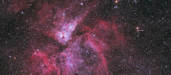 Новая V906 Киля (отмечена указателем) - 俄罗斯卫星通讯社